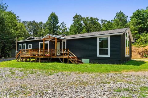 151 Eastern Pass CHATSWORTH GA 30705