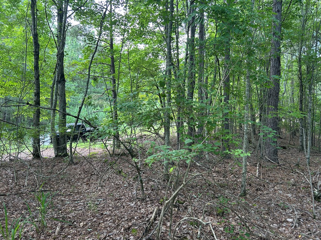 0 Camp Branch Road