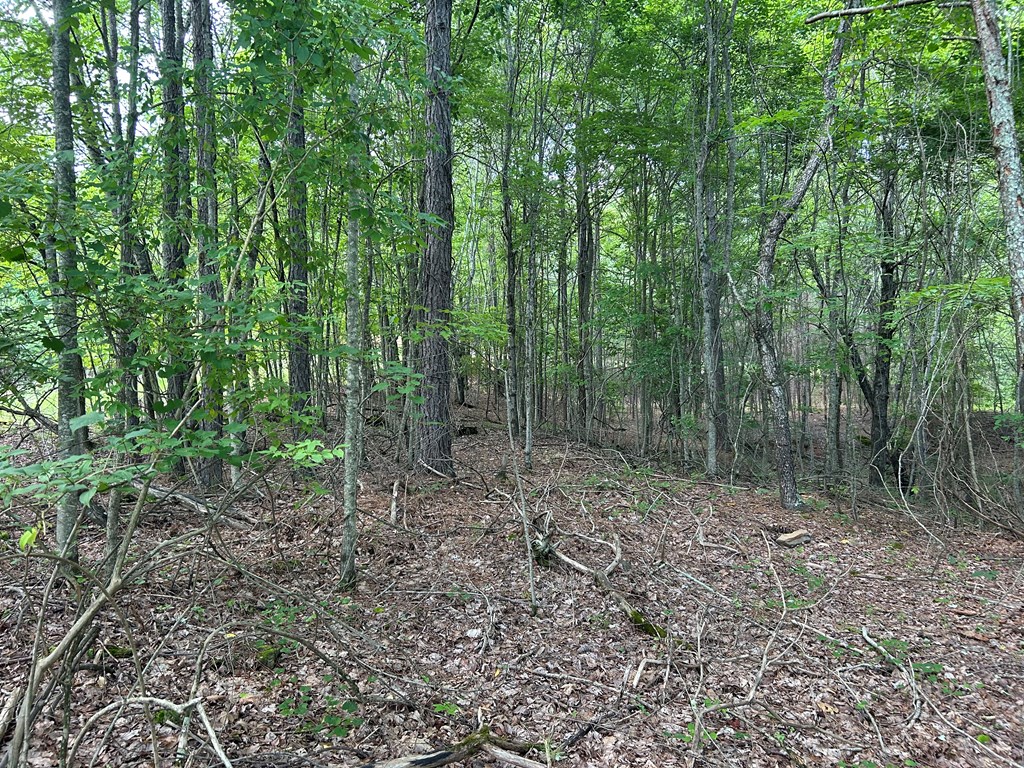 0 Camp Branch Road