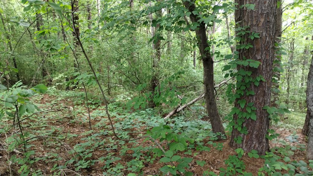 0 Bishop Trail