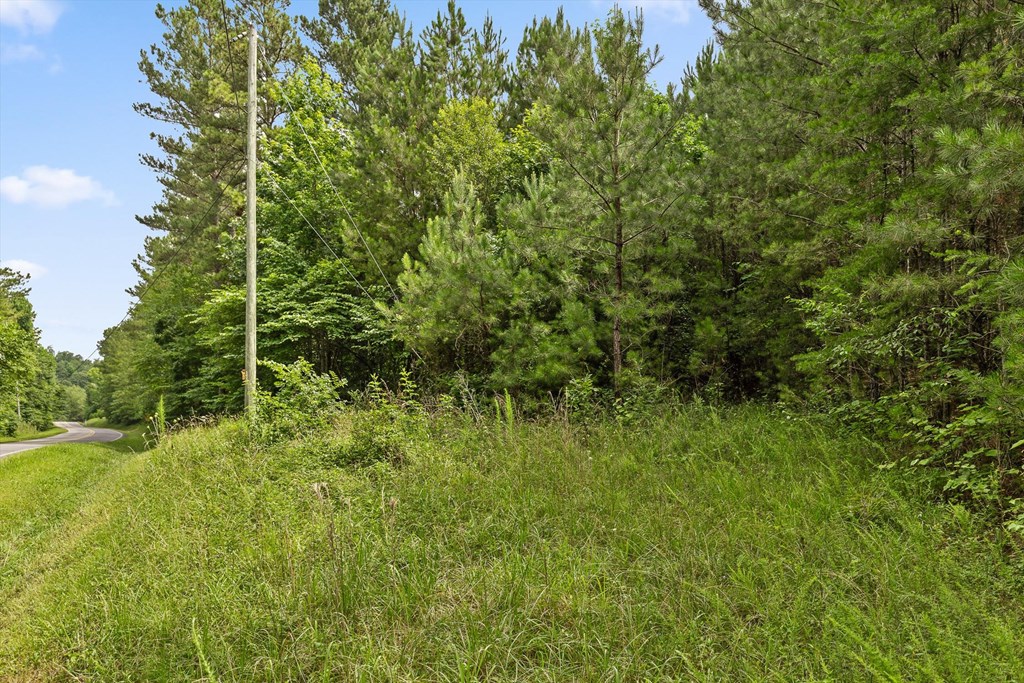 Tract 4A Old Sawmill Road