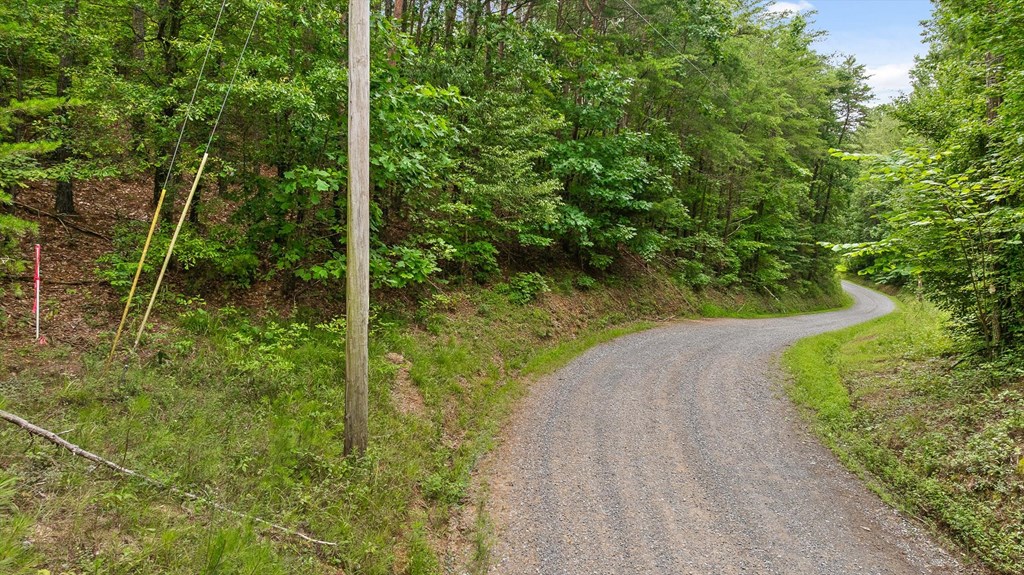 Tract 4A Old Sawmill Road