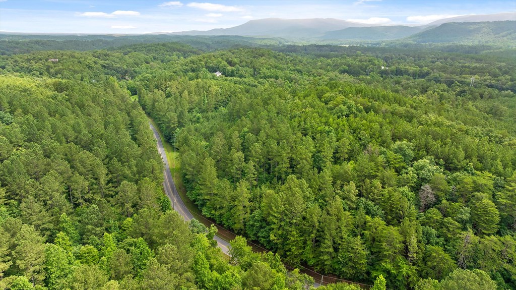 Tract 4A Old Sawmill Road
