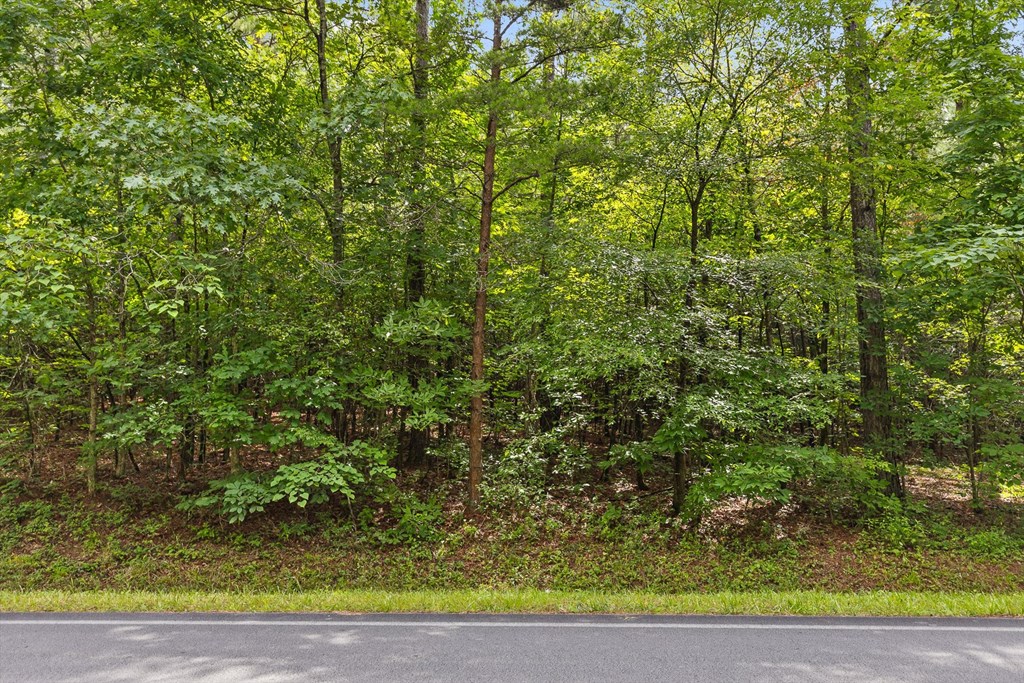Tract 4A Old Sawmill Road