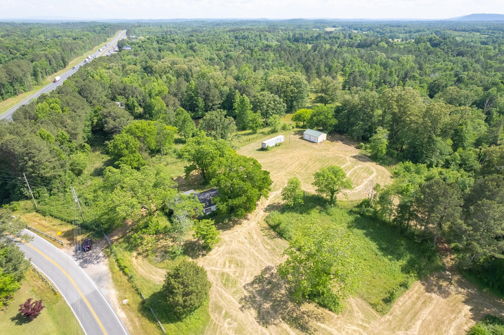 451 Lower Lindsay Springs