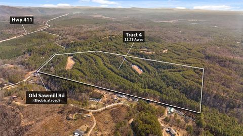 TR 92-4 Old Sawmill Road CHATSWORTH GA 30705