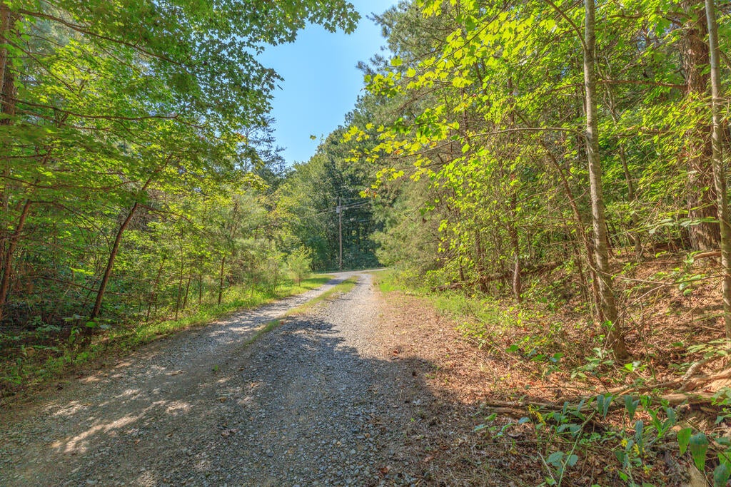 4128 Jimmy Drive