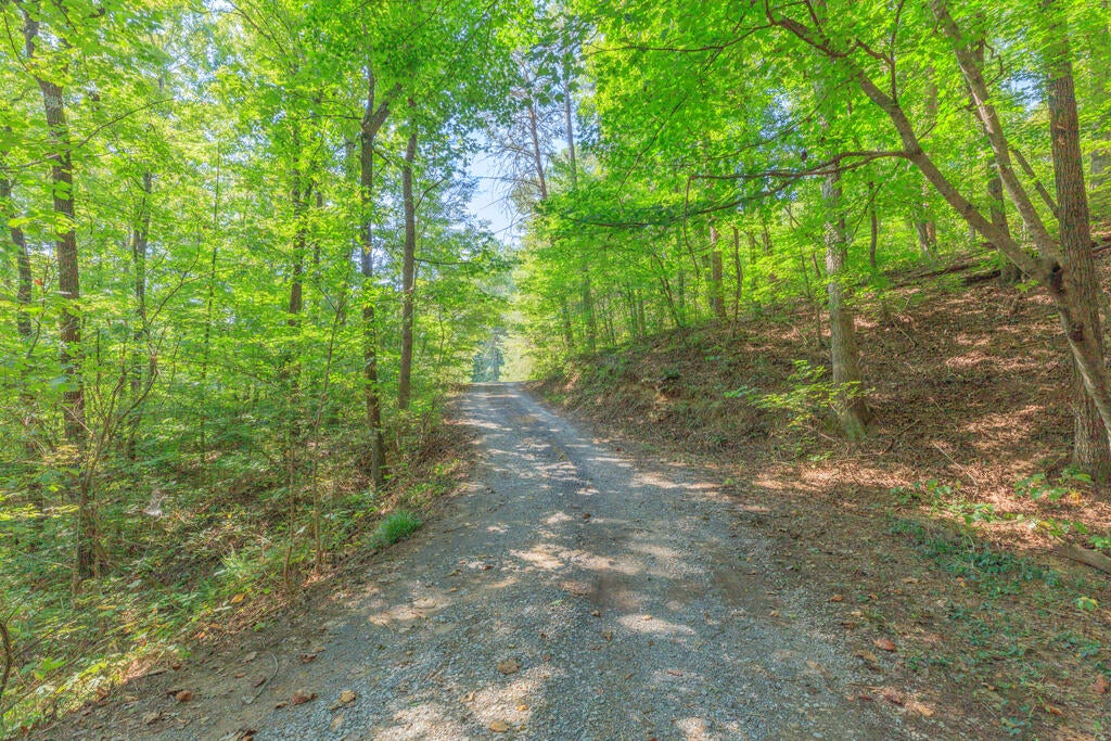 4128 Jimmy Drive