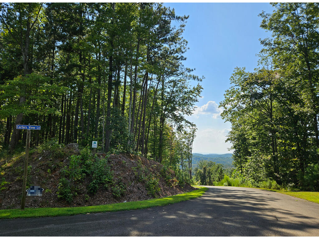241 Carters View Lane