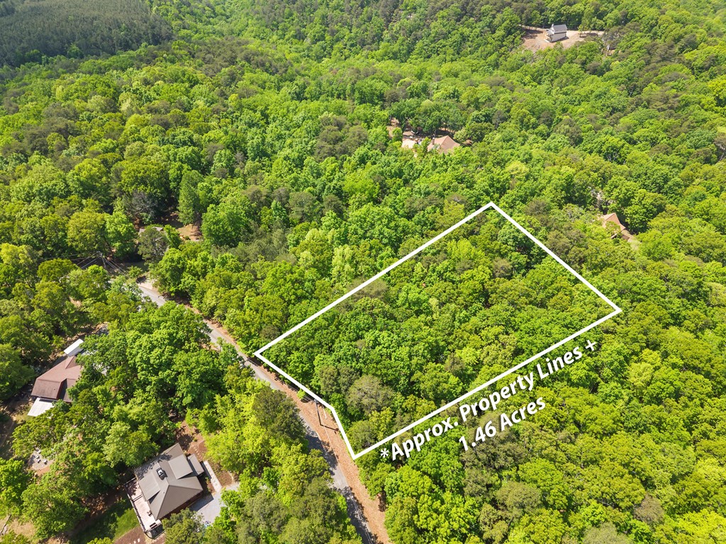 1355 Hunter Drive