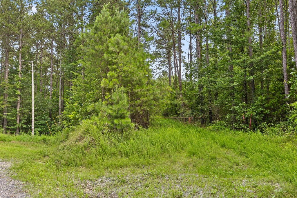 Tract 2 Conniston Road