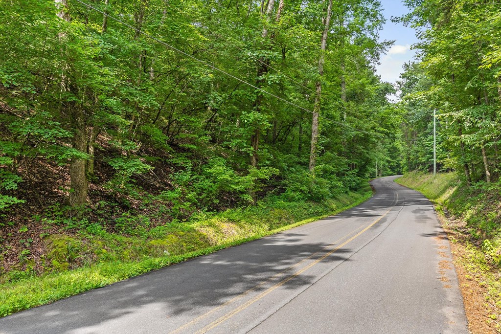 Tract 4B Conniston Road