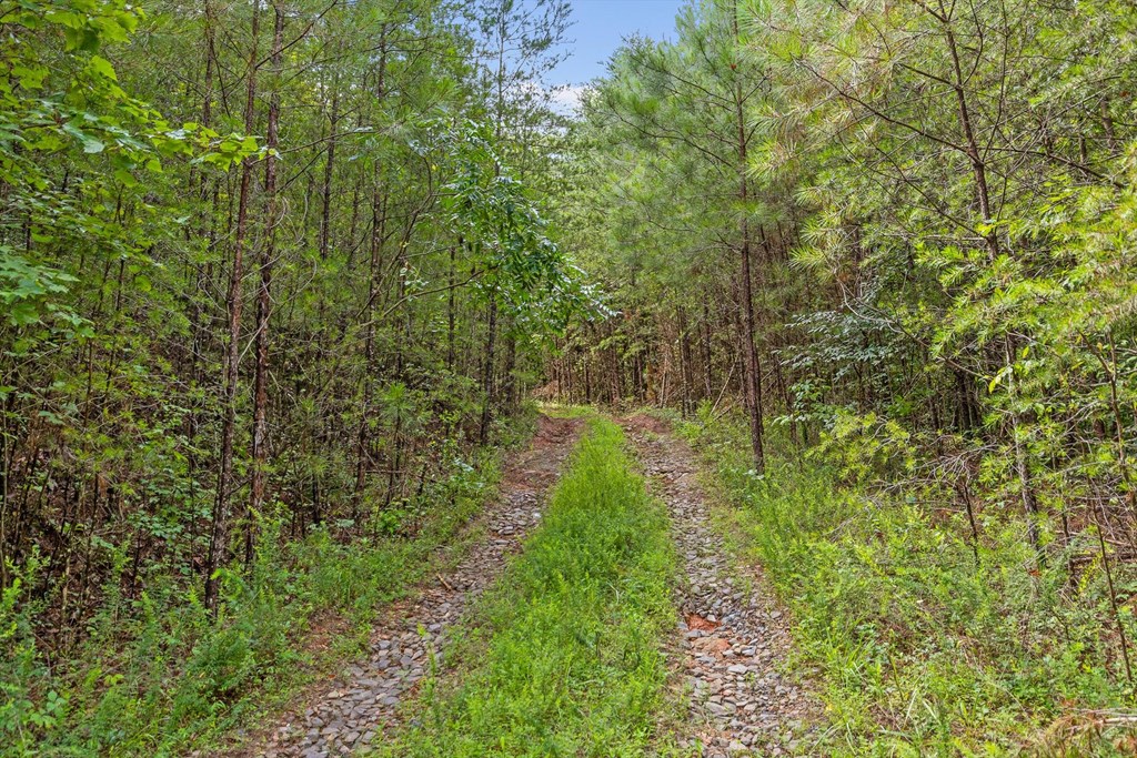 Tract 4B Conniston Road