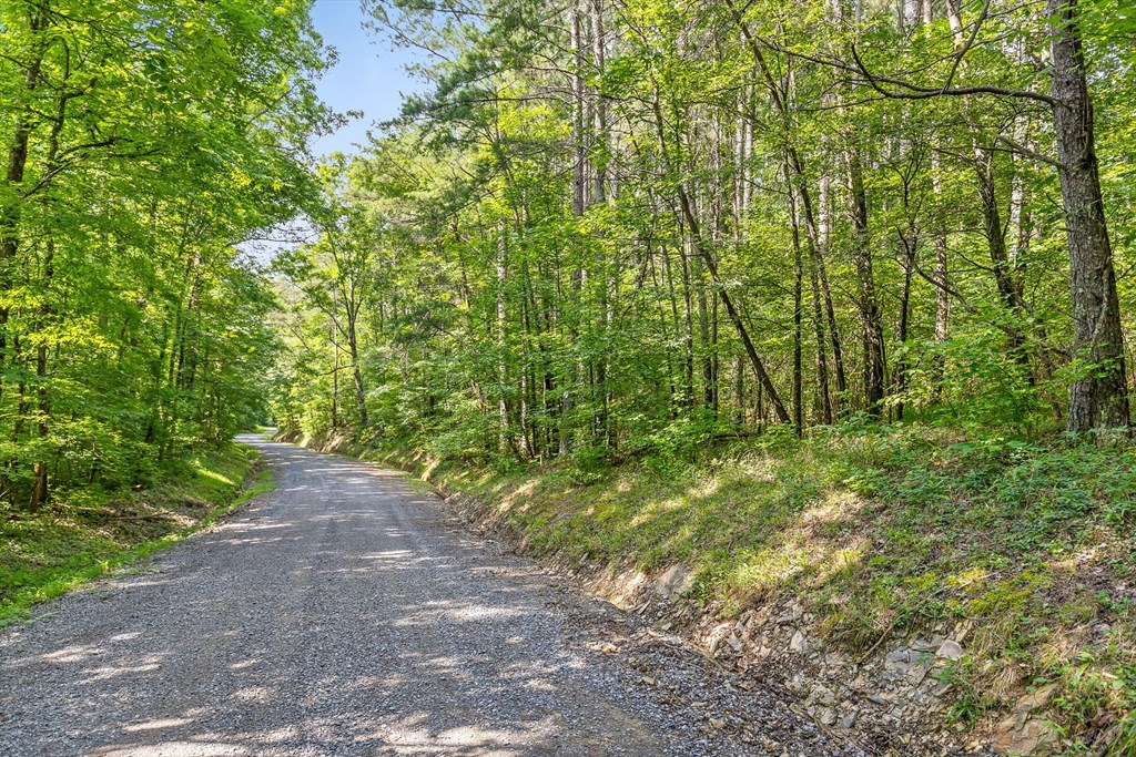 Tract 1 Conniston Road