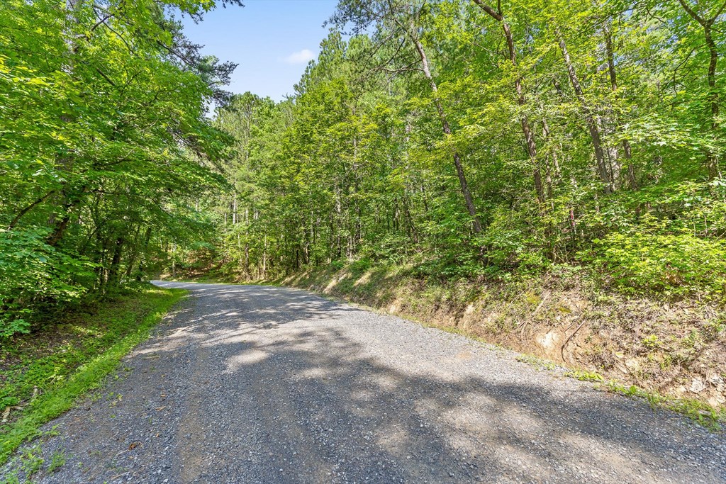 Tract 1 Conniston Road