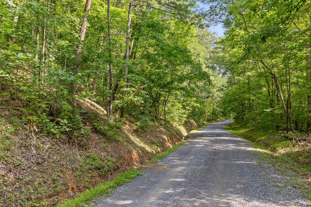 Tract 1 Conniston Road