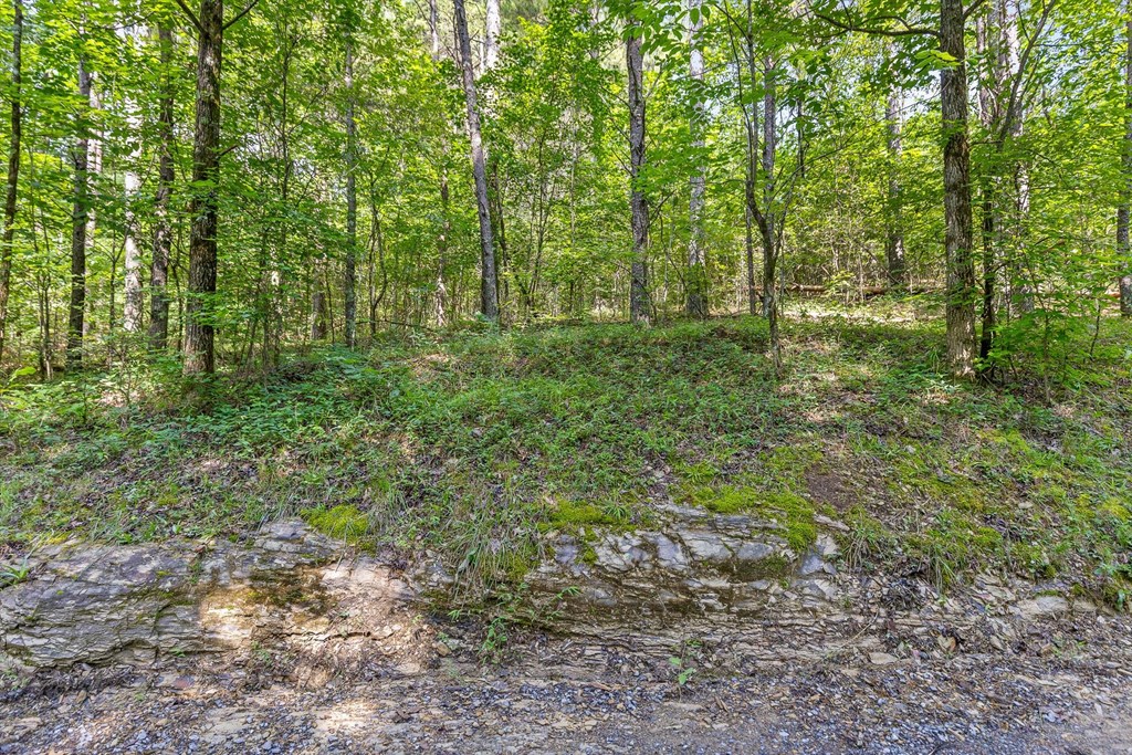 Tract 1 Conniston Road