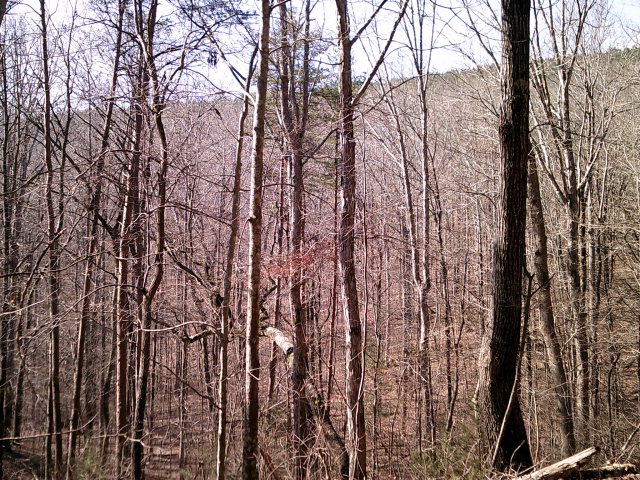 00 Houston Valley Road