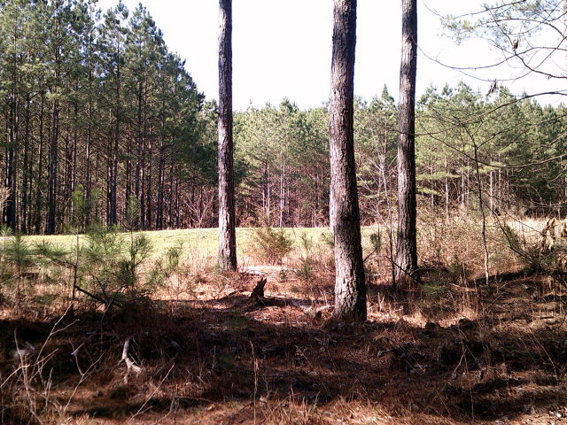 00 Houston Valley Road