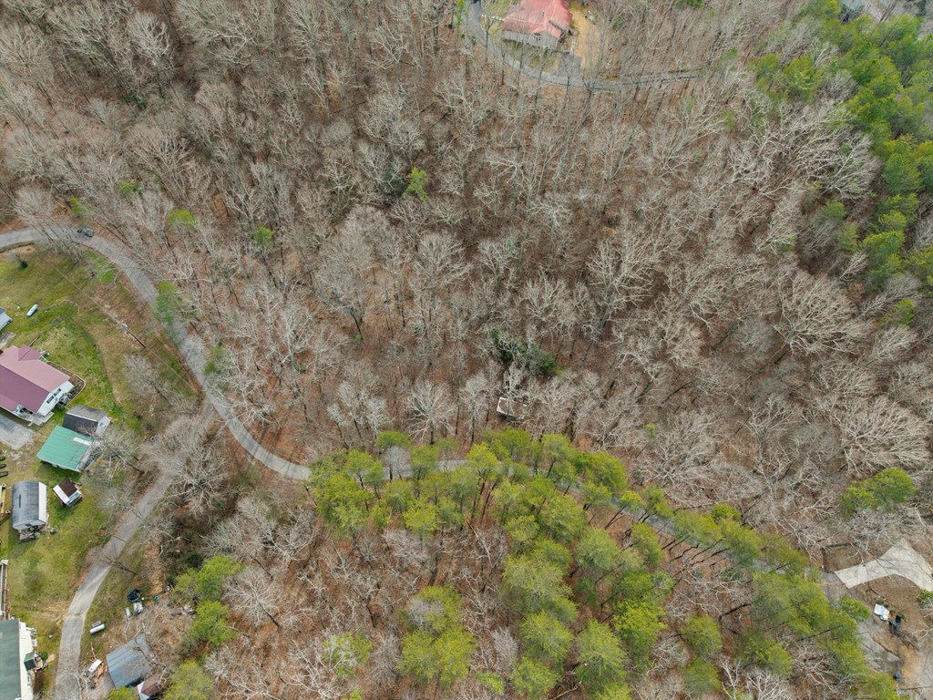 115 Crest Line Drive