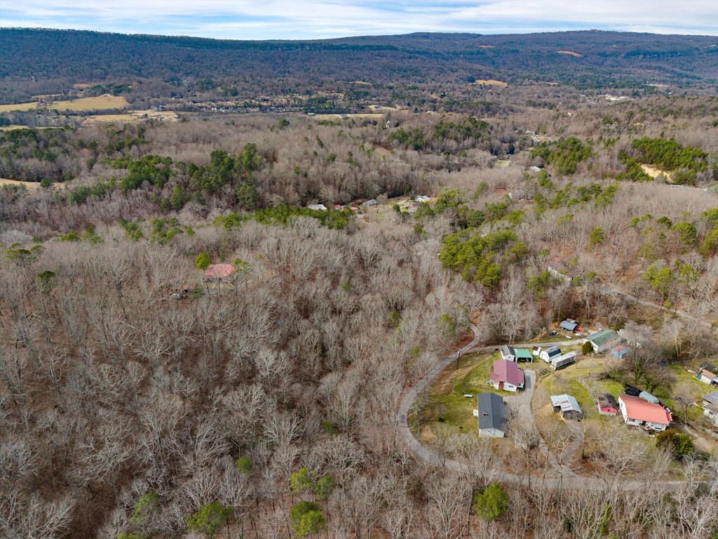 115 Crest Line Drive