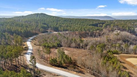 0 Birds Eye Way Guild TN 37340