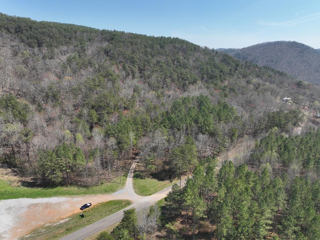 00 Dennis Mill Rd