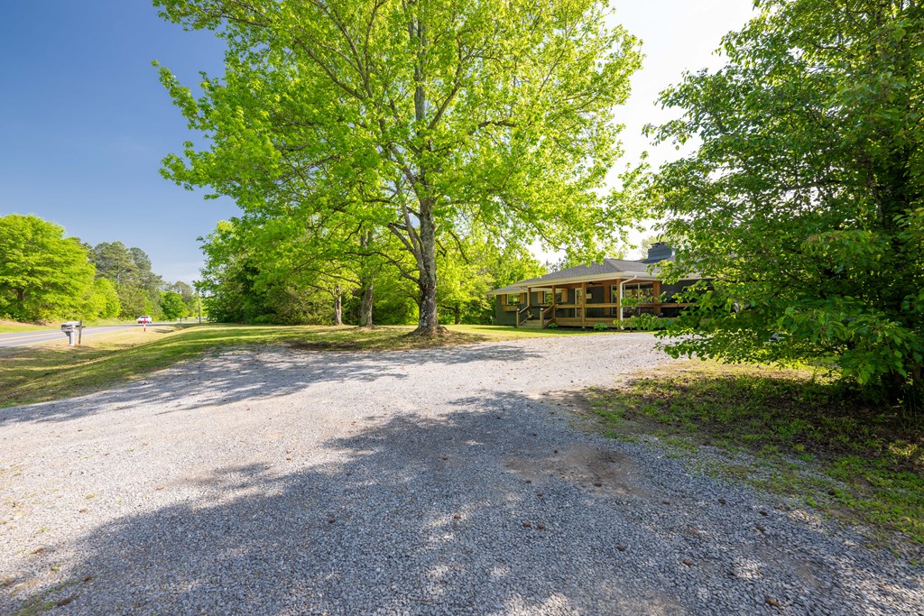 1113 Mount Vernon Road