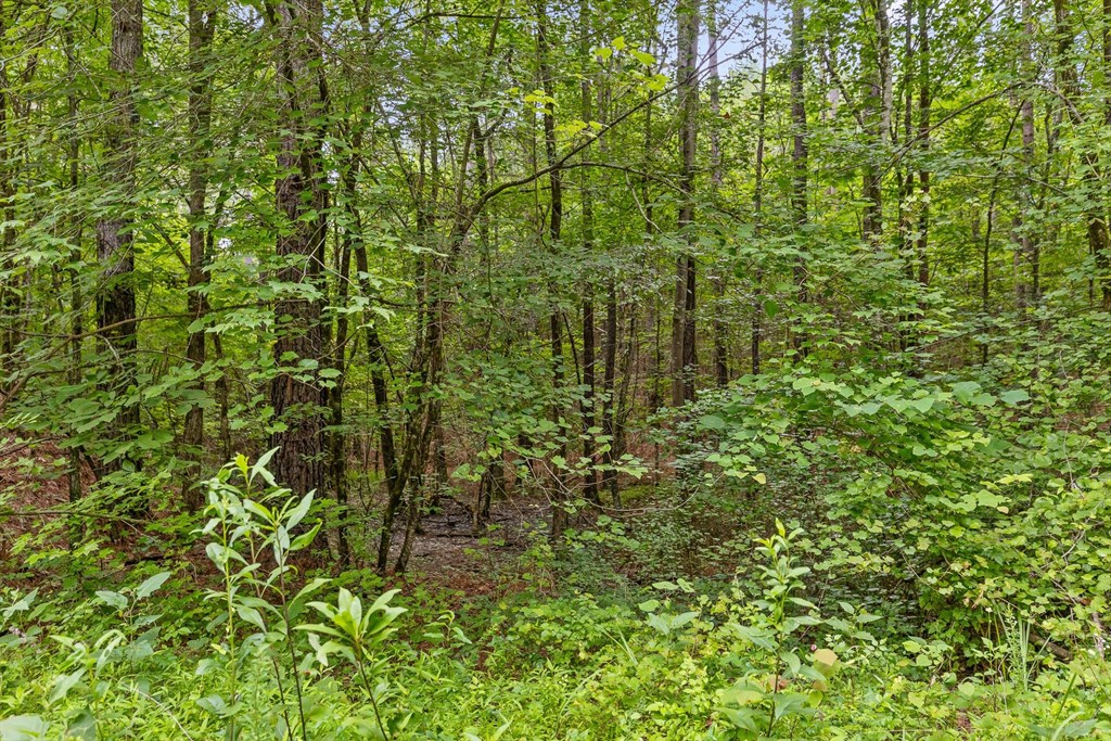 Tract 3 Conniston Road