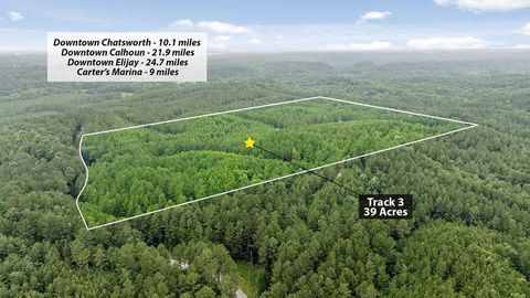 Tract 3 Conniston Road CHATSWORTH GA 30705