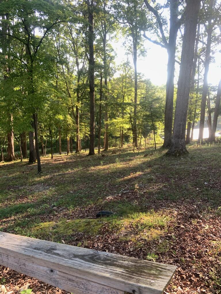 60 Cannon Trail