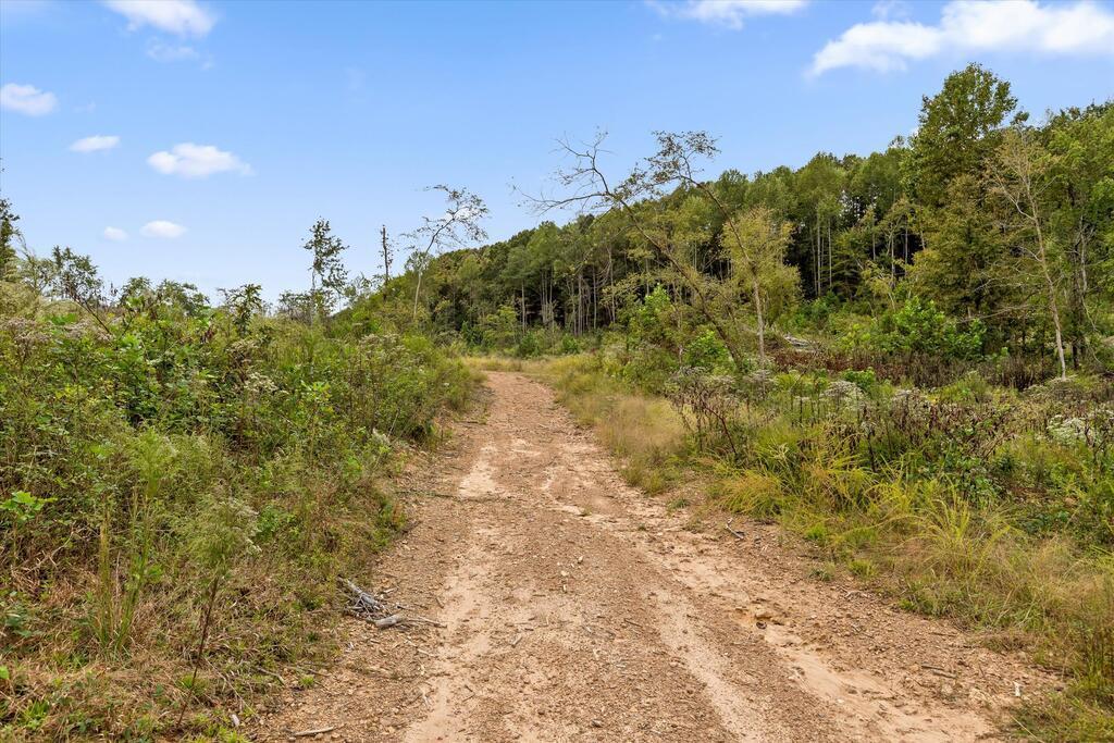 Tract 11 Lake Kathy Road
