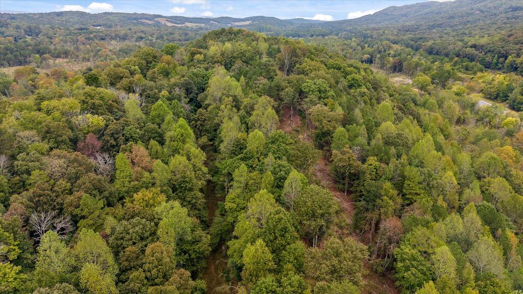 Tract 11 Lake Kathy Road