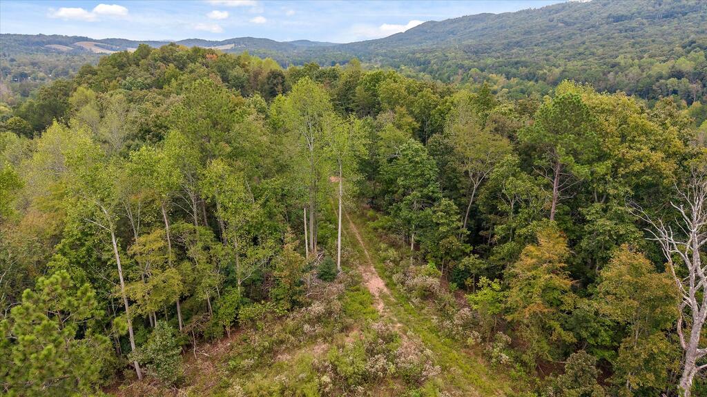 Tract 11 Lake Kathy Road