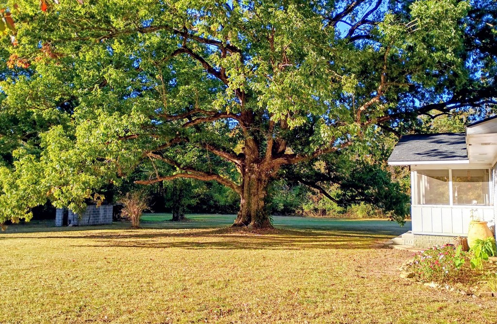 5080 Holly Creek Cool Springs Road