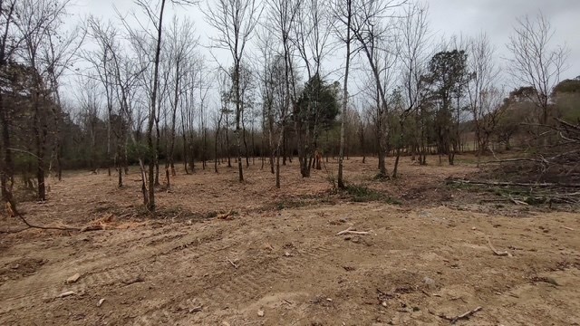 245 SW Forrest Drive