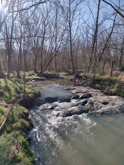 245 SW Forrest Drive