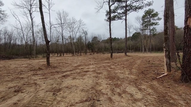 245 SW Forrest Drive