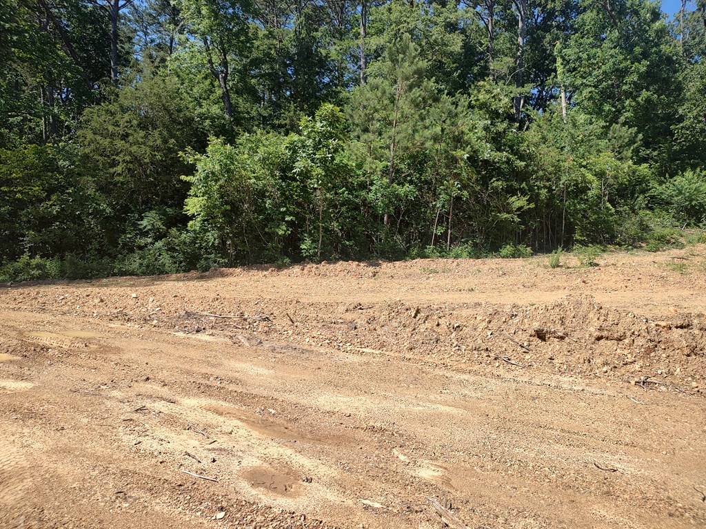 00 Hwy 411S