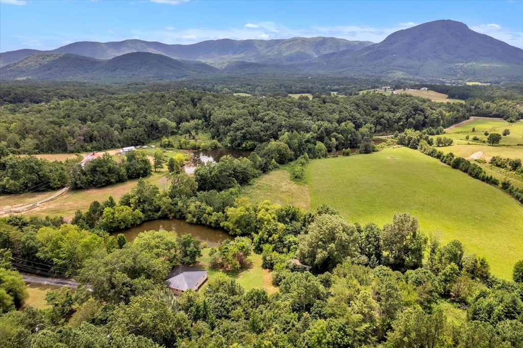 499 Crandall Ellijay Road