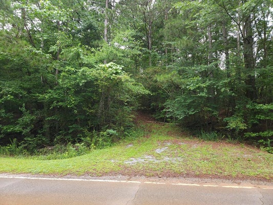 0 POTASH ROAD, CEDARTOWN, GA 30125 - Image 761229f2fdab5d2bc5e40ff40b8b641a/2990460641