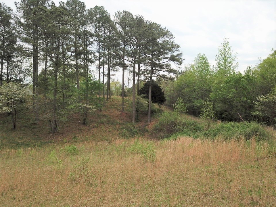 0 Maple Grove Church Road
