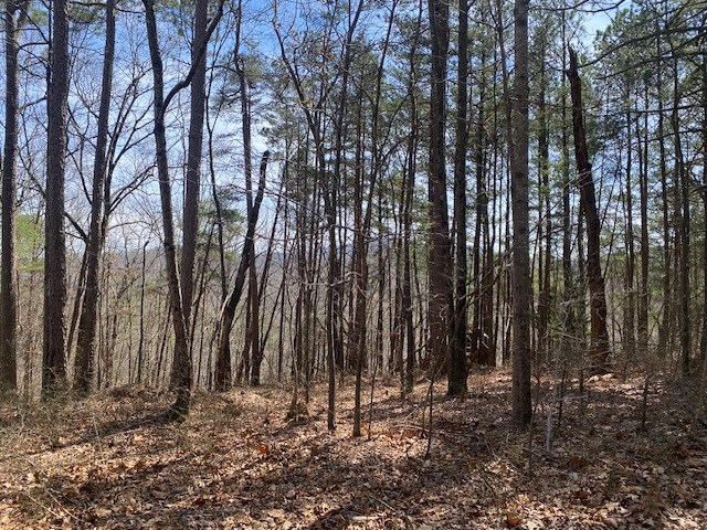 483 NE Marque Lane