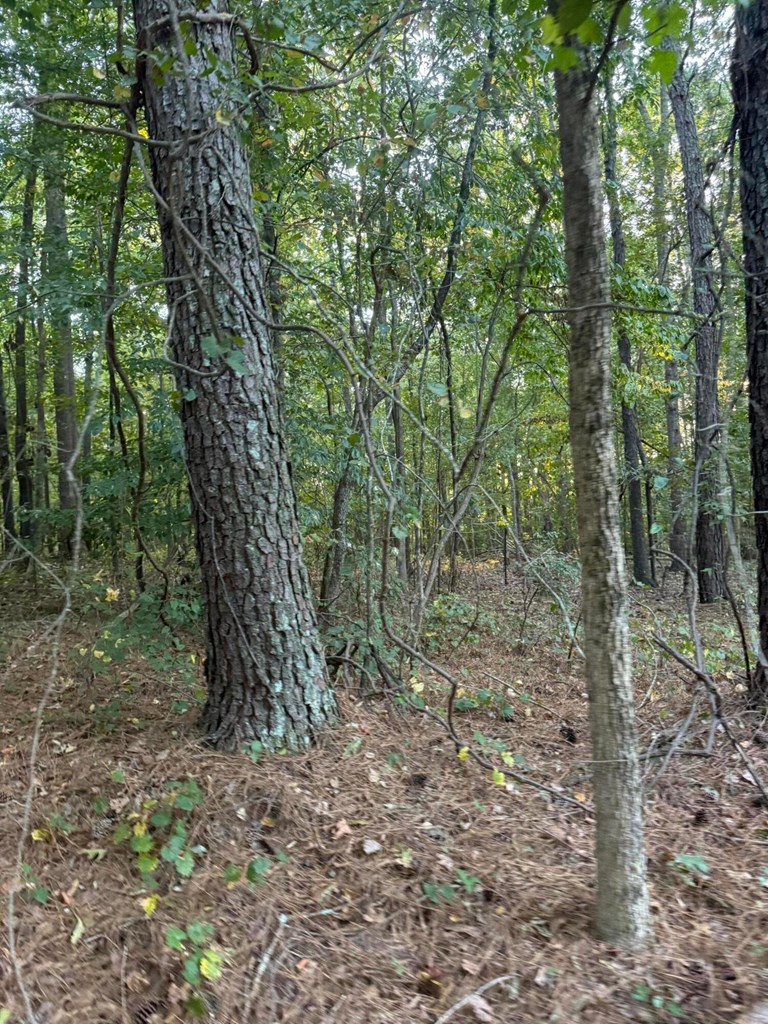 00 SE Gaines Road
