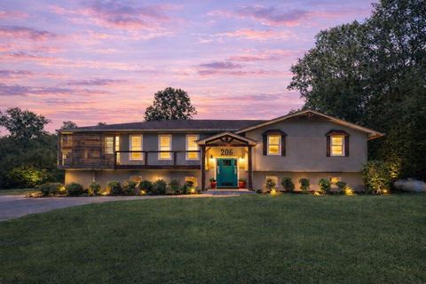 206 Blue Mountain Parkway ROCKY FACE GA 30740