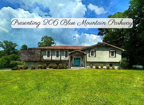 206 Blue Mountain Parkway ROCKY FACE GA 30740