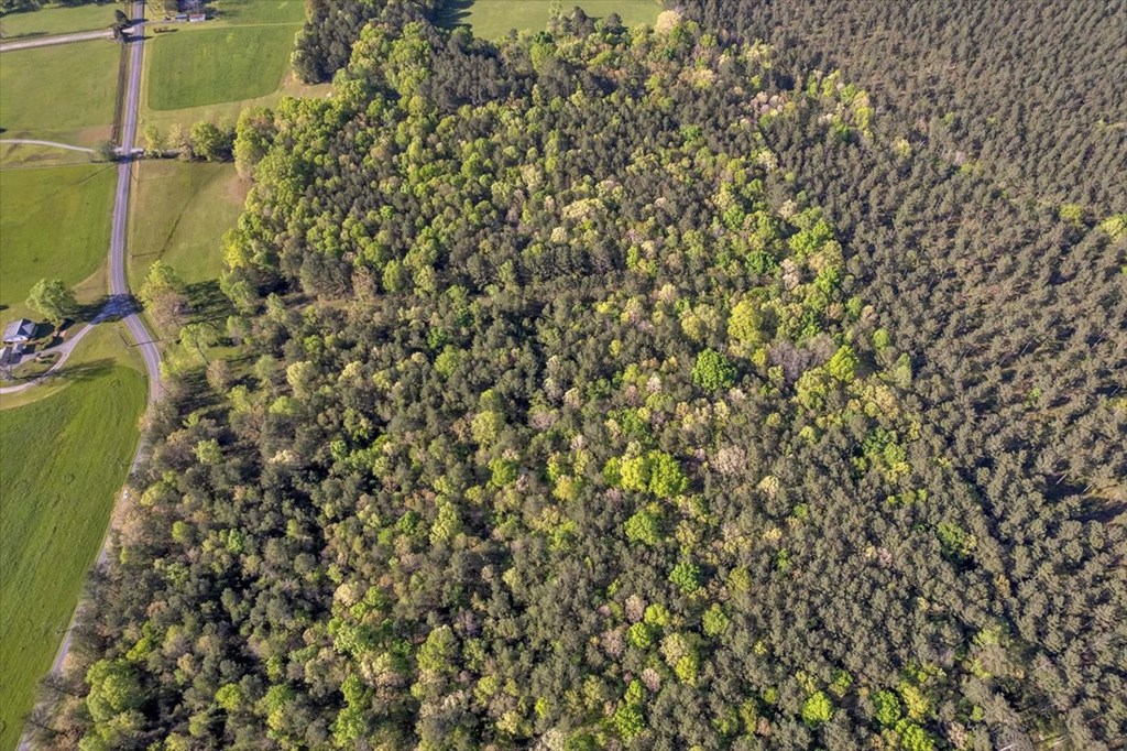 37 Acres Carson Avenue