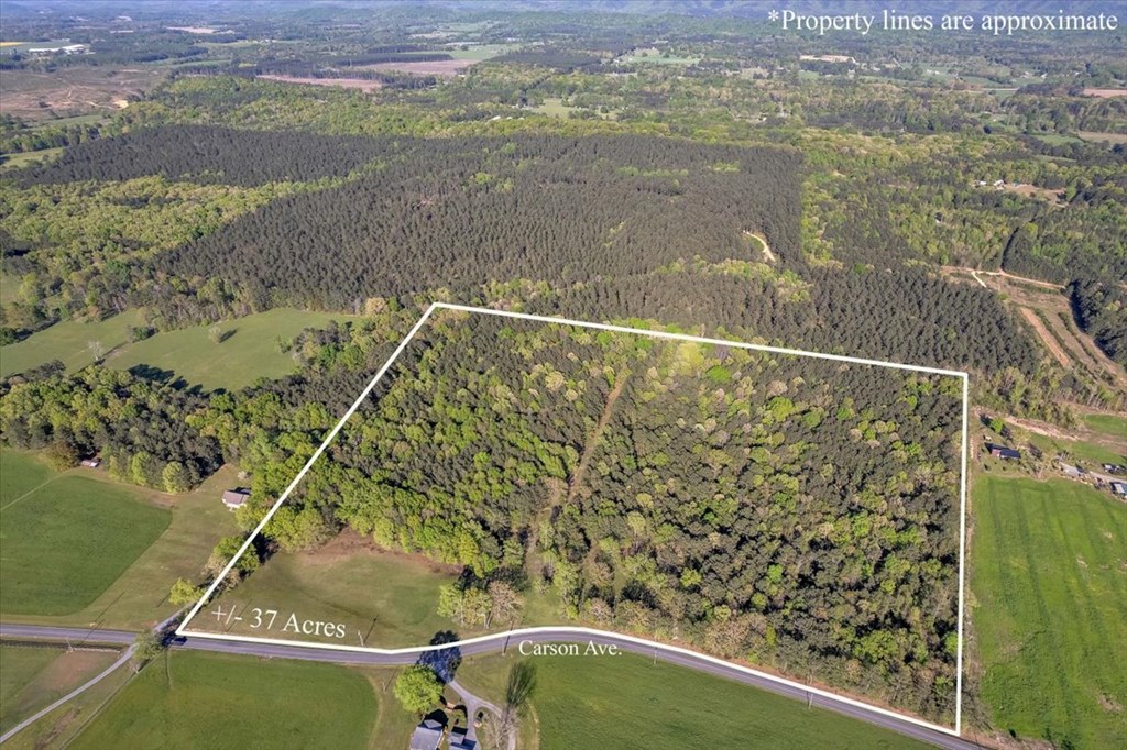 37 Acres Carson Avenue
