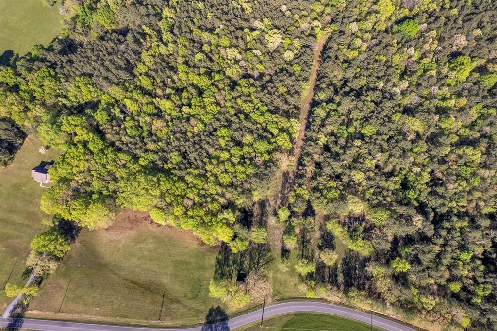 37 Acres Carson Avenue
