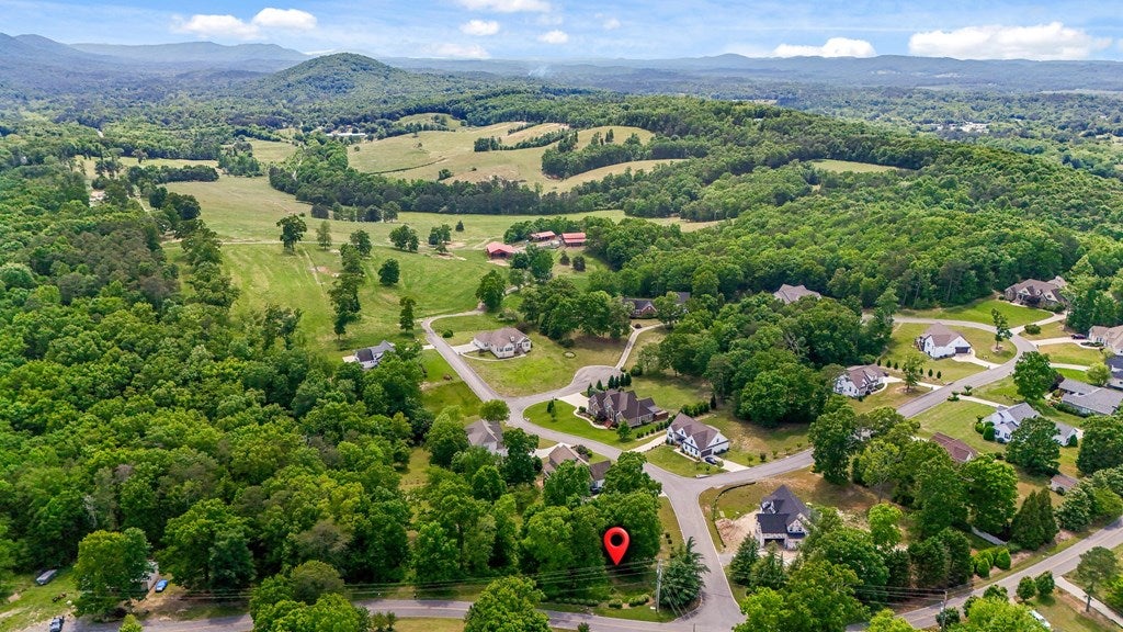 Lot #20 Fieldstone